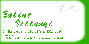 balint villanyi business card